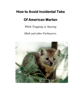 How to Avoid Incidental Take of American Marten