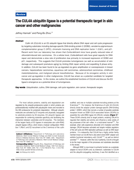 The CUL4A Ubiquitin Ligase Is a Potential Therapeutic Target in Skin Cancer and Other Malignancies