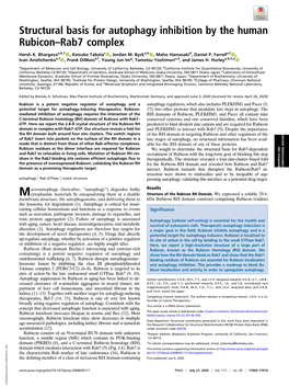 Structural Basis for Autophagy Inhibition by the Human Rubicon–Rab7 Complex