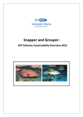 Snapper and Grouper: SFP Fisheries Sustainability Overview 2015