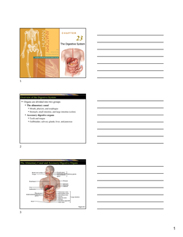 The Digestive System Overview of the Digestive System • Organs Are Divided Into Two Groups the Alimentary Canal and Accessory