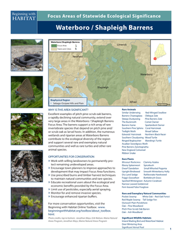 Waterboro / Shapleigh Barrens Beginning with Focus Areas of Statewide Ecological Significance Habitat Waterboro / Shapleigh Barrens