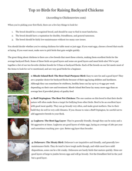 Top 10 Birds for Raising Backyard Chickens