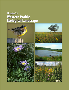 Western Prairie Ecological Landscape