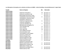 Famille Genre Et Espèce Nb Côte Boîte Anthocoridae Anthocoridae