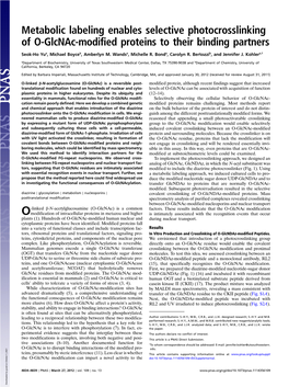 Metabolic Labeling Enables Selective Photocrosslinking of O-Glcnac-Modified Proteins to Their Binding Partners