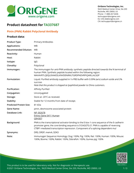 Pinin (PNN) Rabbit Polyclonal Antibody – TA337687 | Origene