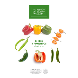 CHILES Y PIMIENTOS Mexicanos CONTENIDO