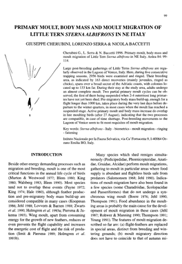 Dwergstern3.Pdf