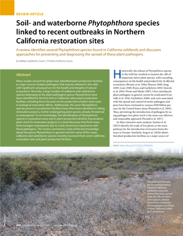 Soil- and Waterborne Phytophthora Species Linked to Recent