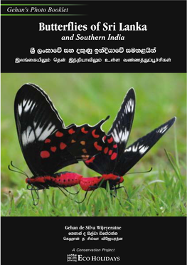 Butterflies of Sri Lanka