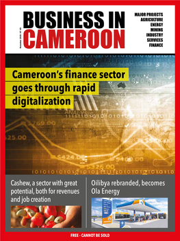 Cameroon's Finance Sector Goes Through Rapid Digitalization