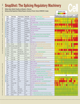 Snapshot: the Splicing Regulatory Machinery Mathieu Gabut, Sidharth Chaudhry, and Benjamin J