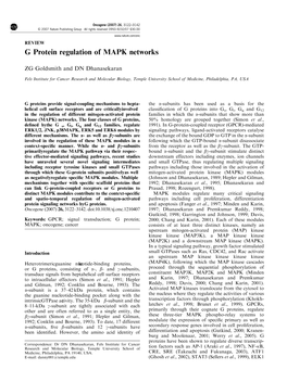 G Protein Regulation of MAPK Networks