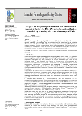 Insights at Morphological Features of Contracaecum Rudolphii Hartwich