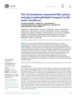 The Acinetobacter Baumannii Mla System and Glycerophospholipid