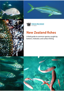 New Zealand Fishes a Field Guide to Common Species Caught by Bottom, Midwater, and Surface Fishing Cover Photos: Top – Kingfish (Seriola Lalandi), Malcolm Francis