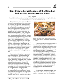 Spur-Throated Grasshoppers of the Canadian Prairies and Northern Great Plains
