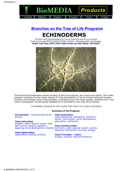 Biology of Echinoderms