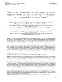 Developmental Morphology of Bud Galls Induced on the Vegetative Meristems of Quercus Castanea by Amphibolips Michoacaensis (Hymenoptera: Cynipidae)