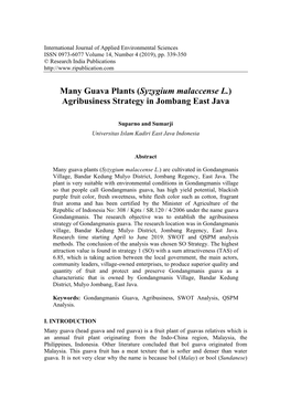 Many Guava Plants (Syzygium Malaccense L.) Agribusiness Strategy in Jombang East Java