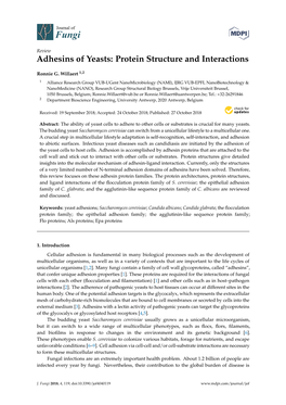 Adhesins of Yeasts: Protein Structure and Interactions