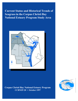 Current Status and Historical Trends of Seagrass in the CCBNEP Study