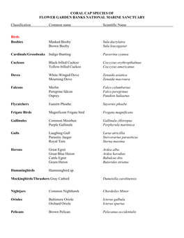 Bird Species of Flower Garden Banks National Marine Sanctuary