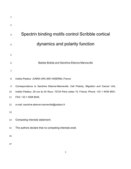 Spectrin Binding Motifs Control Scribble Cortical Dynamics And