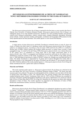 Metasequoia Glyptostroboides Hu & Cheng of Taxodiaceae: Newly Recorded Endangered Conifer to the Flora of Pakistan