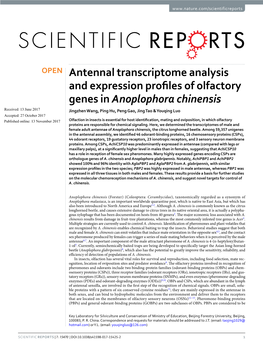 Antennal Transcriptome Analysis and Expression Profiles of Olfactory