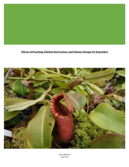 Effects of Poaching, Habitat Destruction, and Climate Change on Nepenthes