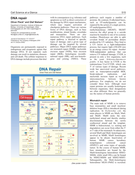 DNA Repair with Its Consequences (E.G