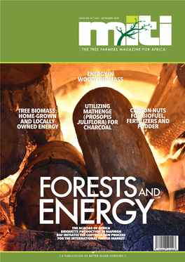 MITI Magazine – Forests and Energy, Issue 47