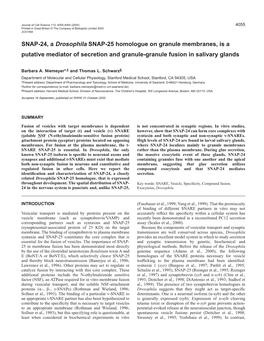 SNAP-24, a Novel Drosophila SNARE Protein 4057 Proteins Were Puriﬁed on Glutathione Beads and Cleaved from the GST Fig