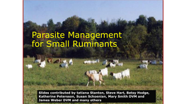 Parasite Management for Small Ruminants