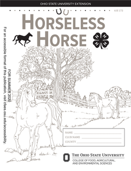 Horseless Horse Project