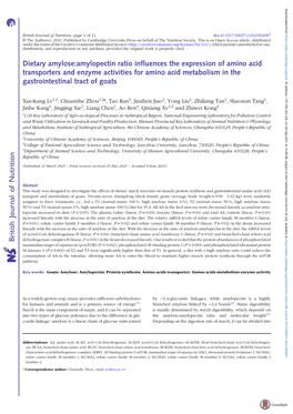 Dietary Amylose:Amylopectin Ratio Influences the Expression of Amino Acid Transporters and Enzyme Activities for Amino Acid Meta