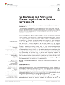 Codon Usage and Adenovirus Fitness: Implications for Vaccine Development