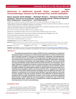 Advances in Epidermal Growth Factor Receptor Specific Immunotherapy: Lessons to Be Learned from Armed Antibodies