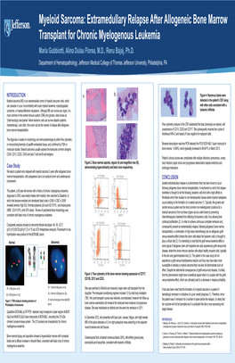 Myeloid Sarcoma