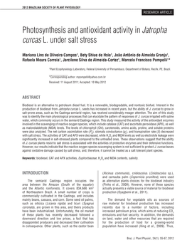 Photosynthesis and Antioxidant Activity in Jatropha Curcas L. Under Salt Stress