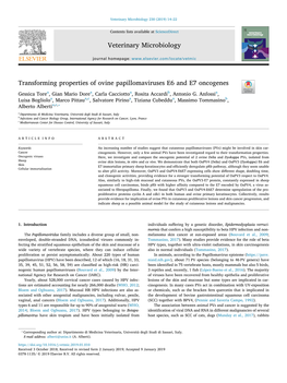 Transforming Properties of Ovine Papillomaviruses E6 and E7 Oncogenes T Gessica Torea, Gian Mario Dorea, Carla Cacciottoa, Rosita Accardib, Antonio G