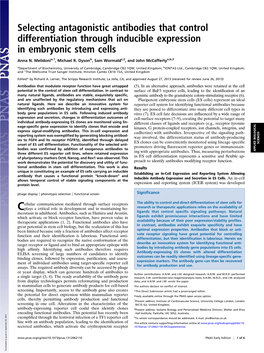 Selecting Antagonistic Antibodies That Control Differentiation Through Inducible Expression in Embryonic Stem Cells