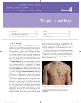 E Pleura and Lungs