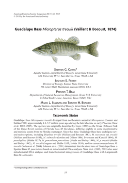 Guadalupe Bass Micropterus Treculii (Vaillant & Bocourt, 1874)