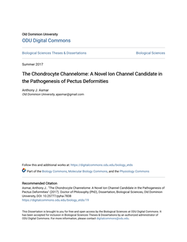 The Chondrocyte Channelome: a Novel Ion Channel Candidate in the Pathogenesis of Pectus Deformities