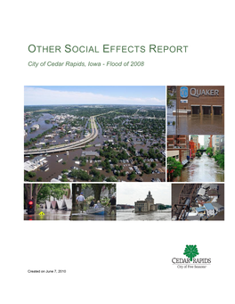 Other Social Effects Report