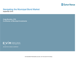 Navigating the Municipal Bond Market September 2019