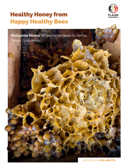 Happy Healthy Bees